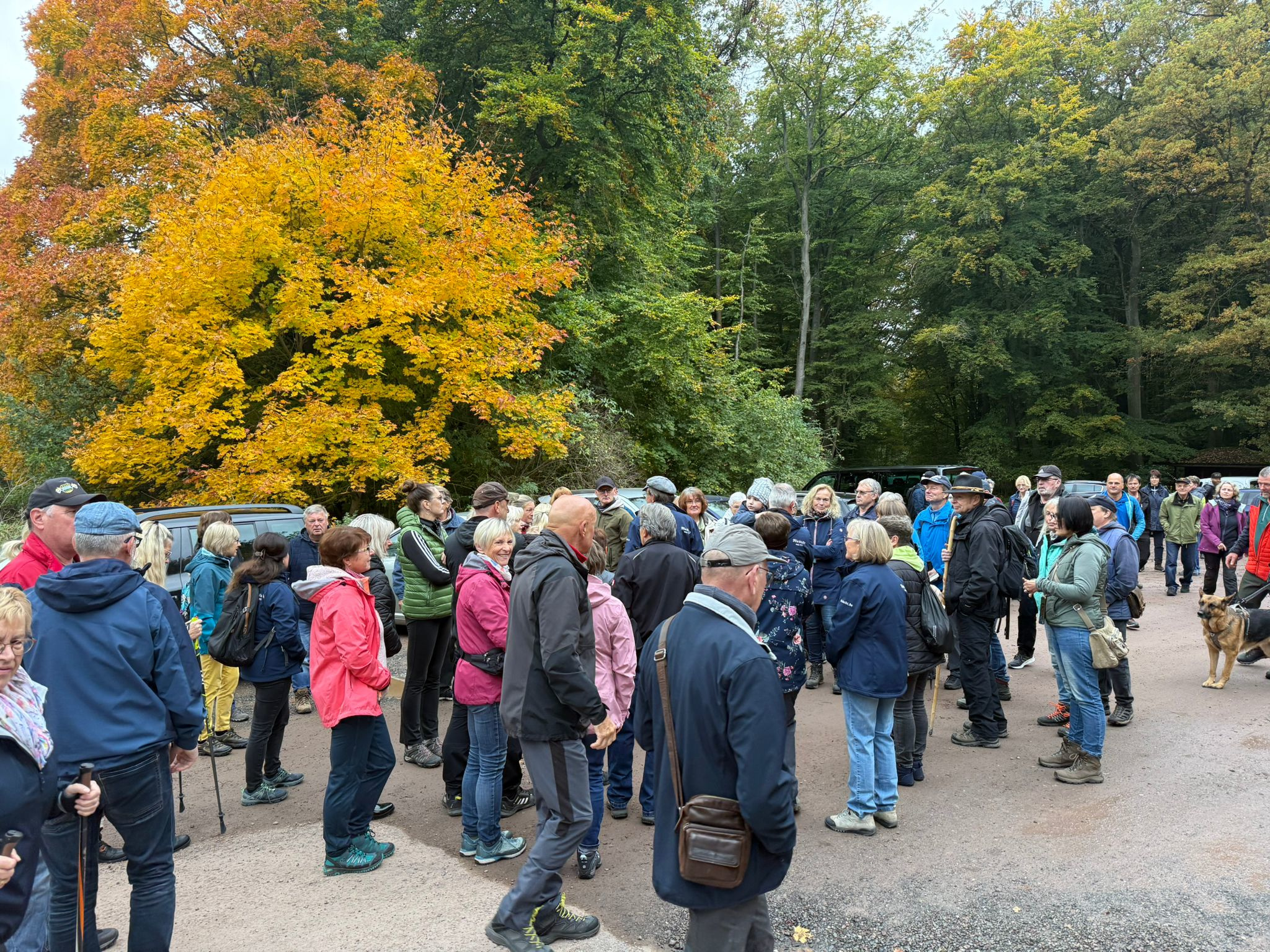 Herbstwanderung 2025_4