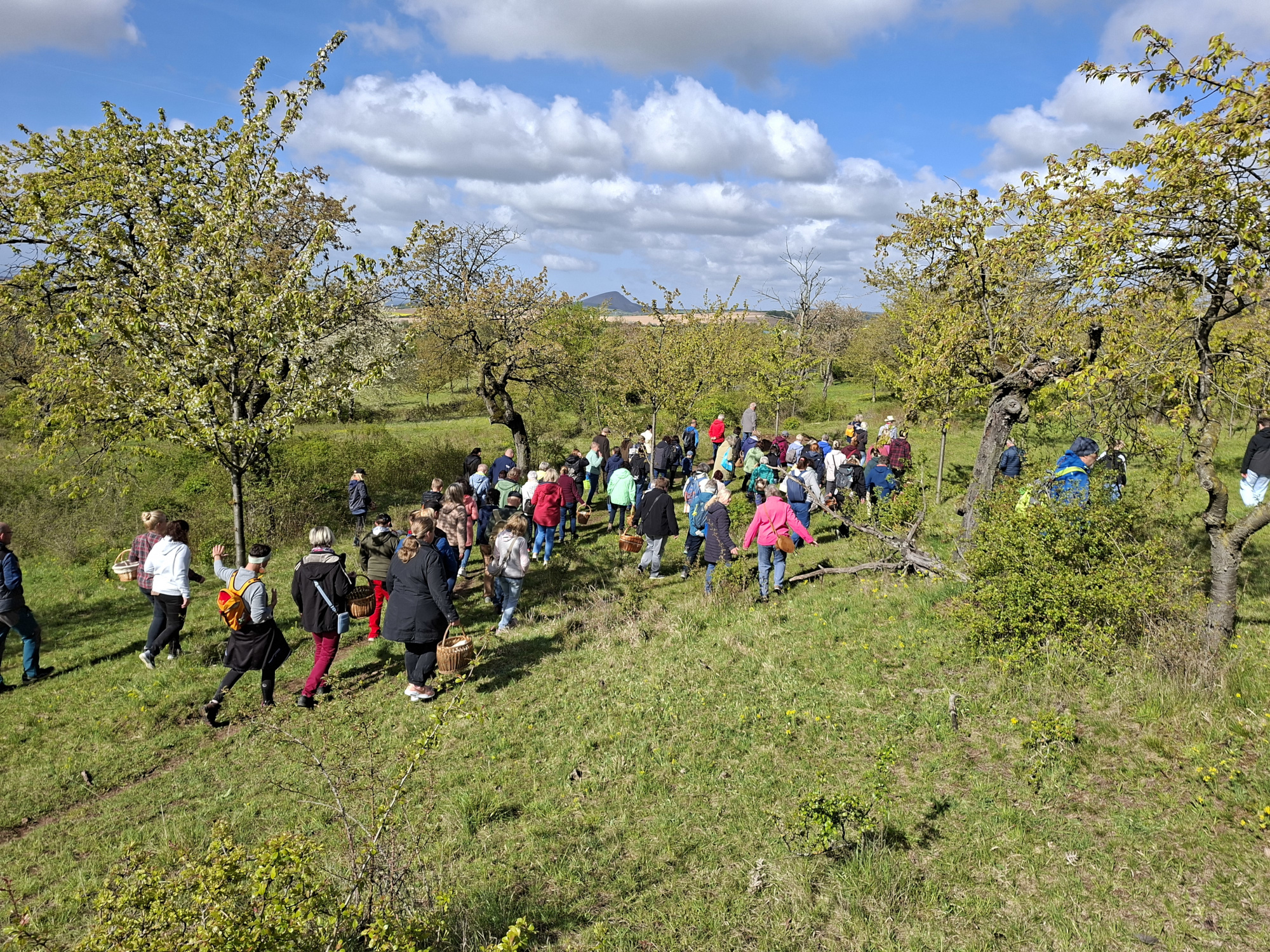 Kräuterwanderung